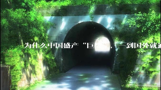 为什么中国盛产“巨婴”，一到国外就通情达理？