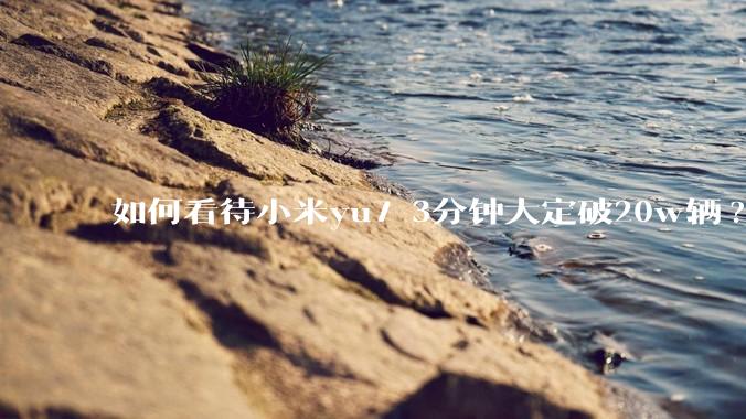如何看待小米yu7 3分钟大定破20w辆?