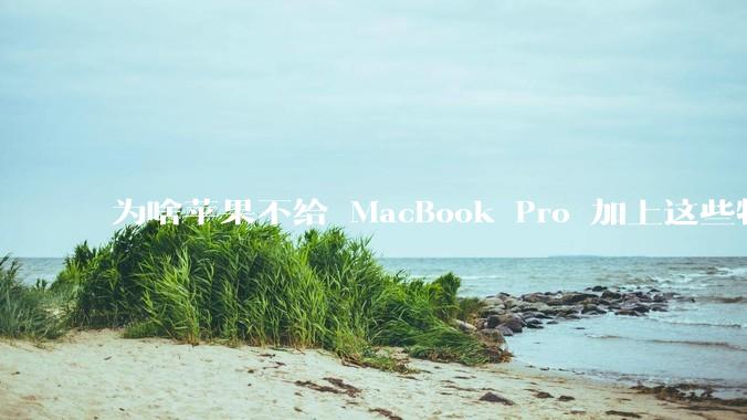 为啥苹果不给 MacBook Pro 加上这些特性？