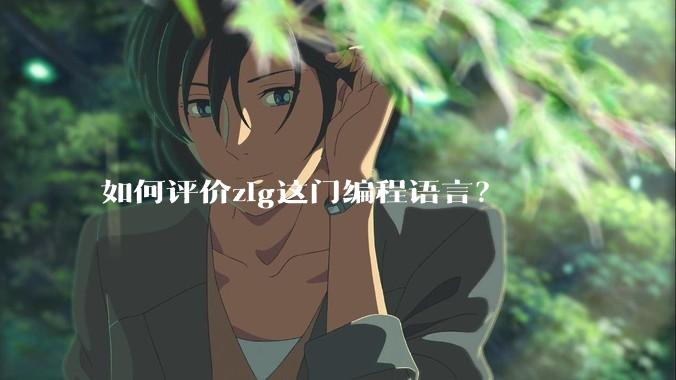 如何评价zig这门编程语言？
