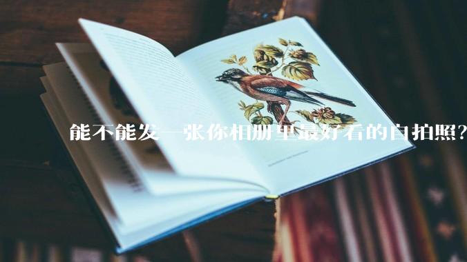 能不能发一张你相册里最好看的自拍照？